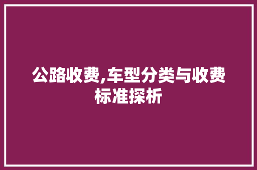 公路收费,车型分类与收费标准探析