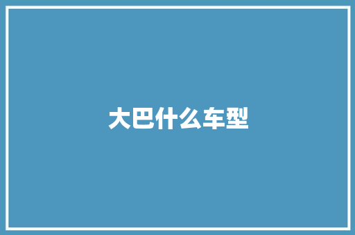 大巴什么车型