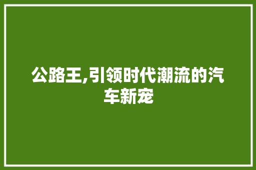 公路王,引领时代潮流的汽车新宠