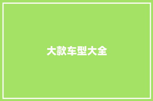 大款车型大全