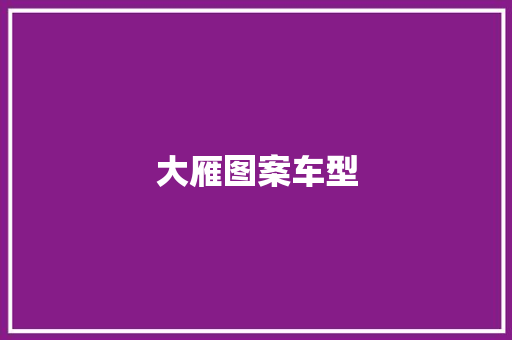 大雁图案车型
