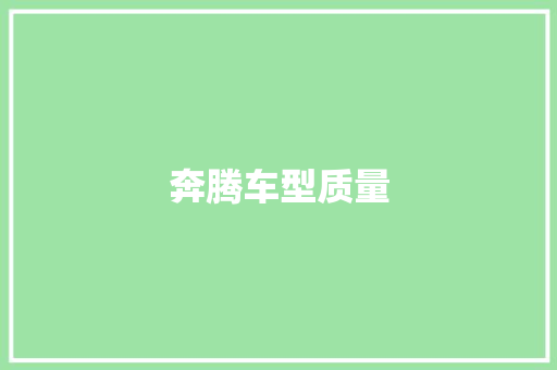 奔腾车型质量