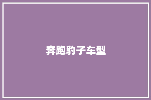 奔跑豹子车型