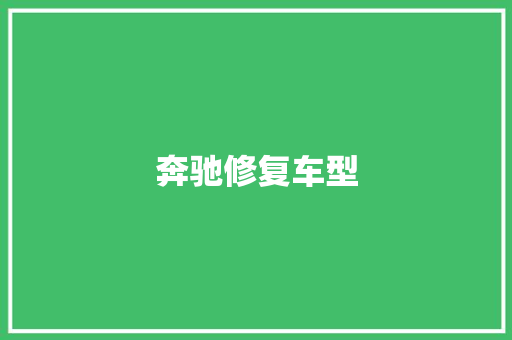 奔驰修复车型