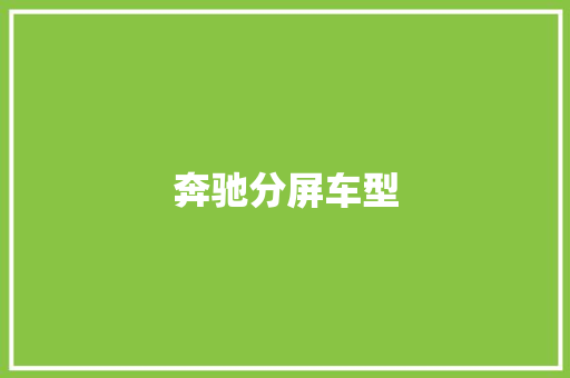 奔驰分屏车型