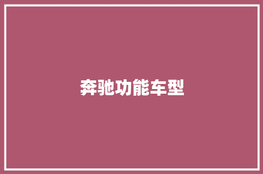 奔驰功能车型