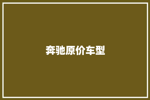 奔驰原价车型