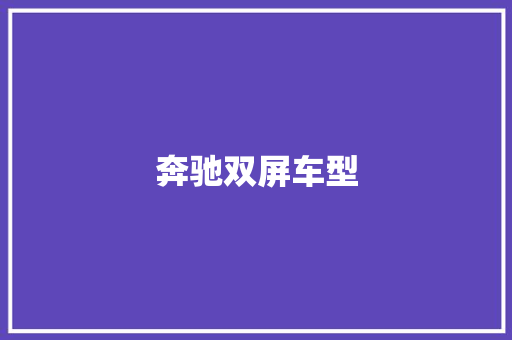 奔驰双屏车型