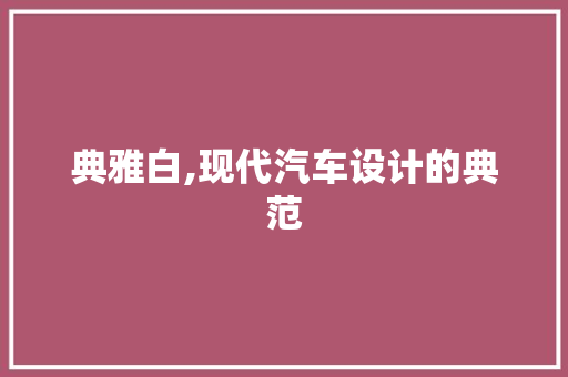 典雅白,现代汽车设计的典范