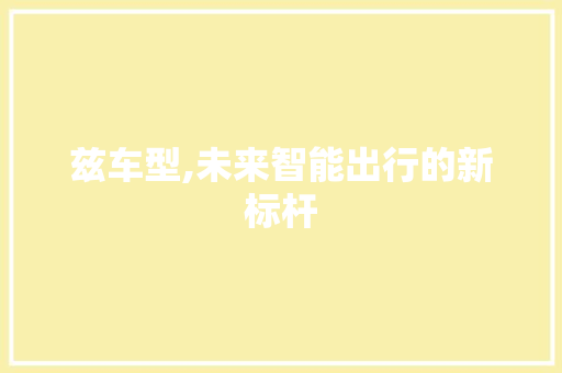 兹车型,未来智能出行的新标杆