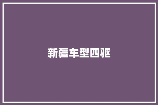 新疆车型四驱 车灯配件