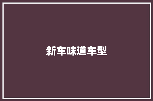 新车味道车型