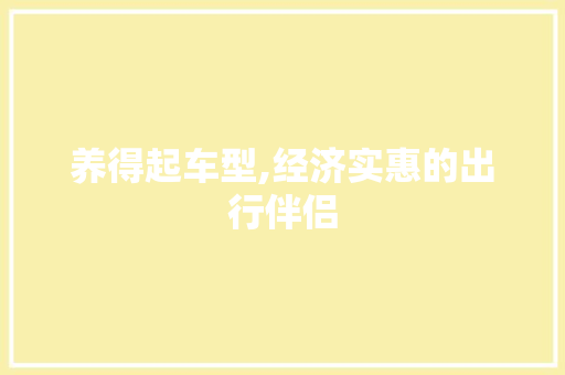 养得起车型,经济实惠的出行伴侣