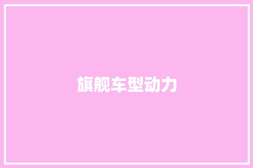 旗舰车型动力