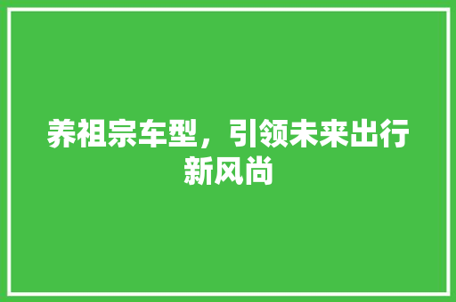养祖宗车型，引领未来出行新风尚 汽车配件