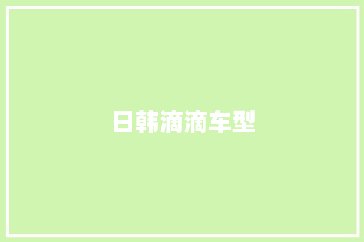 日韩滴滴车型