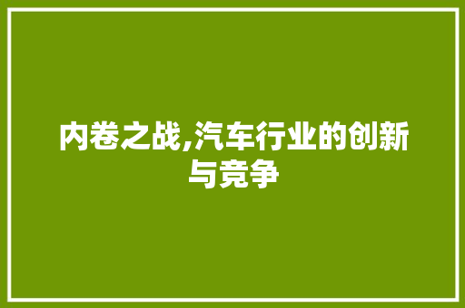 内卷之战,汽车行业的创新与竞争