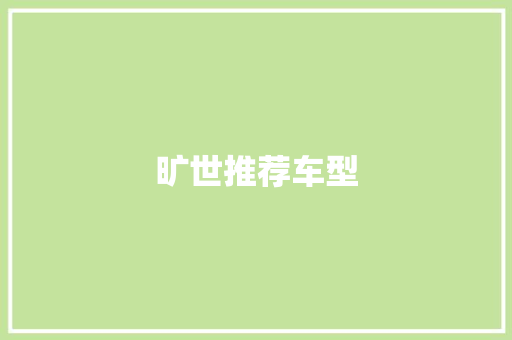 旷世推荐车型