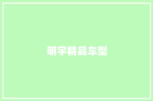 明宇精品车型