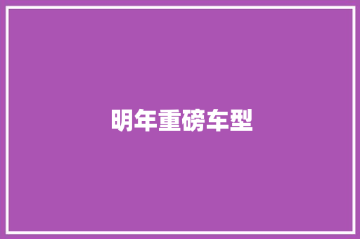 明年重磅车型