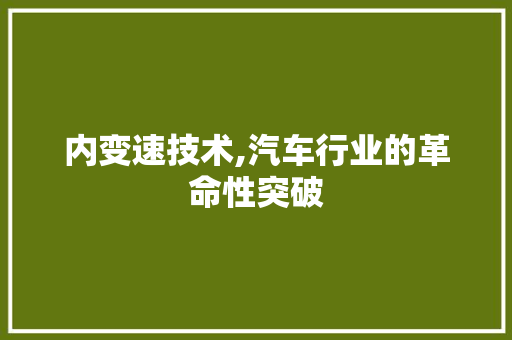 内变速技术,汽车行业的革命性突破