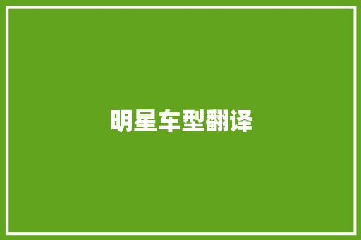 明星车型翻译