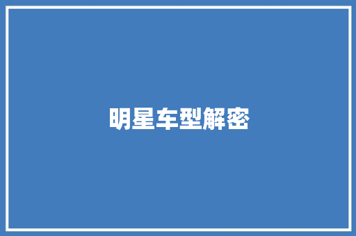 明星车型解密