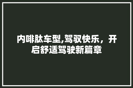 内啡肽车型,驾驭快乐，开启舒适驾驶新篇章