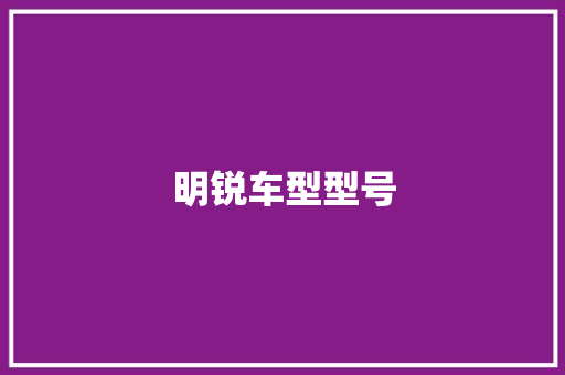 明锐车型型号