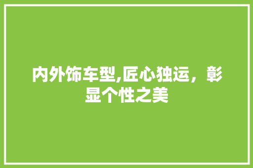 内外饰车型,匠心独运，彰显个性之美