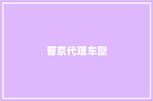 普京代理车型