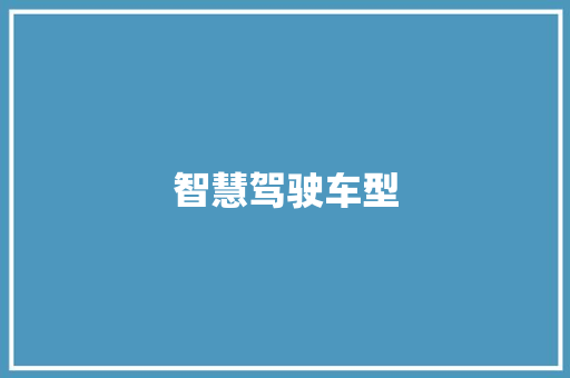 智慧驾驶车型