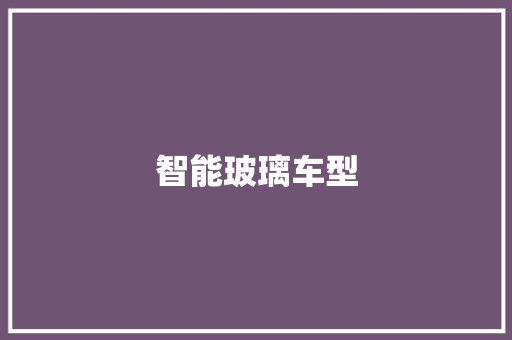 智能玻璃车型