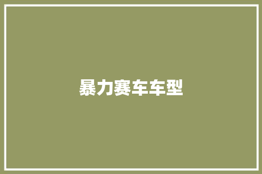 暴力赛车车型