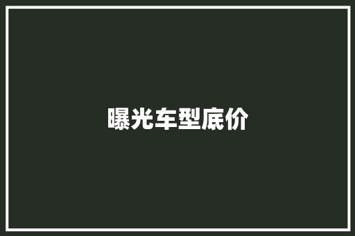曝光车型底价
