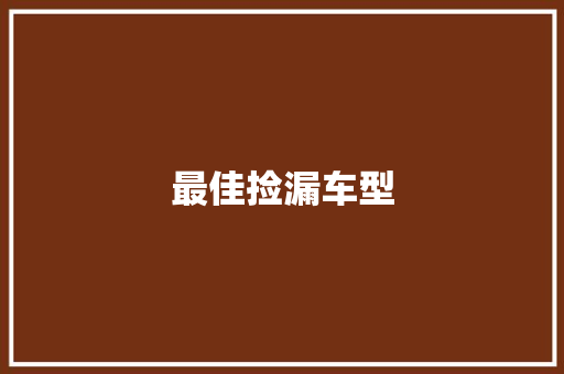 最佳捡漏车型