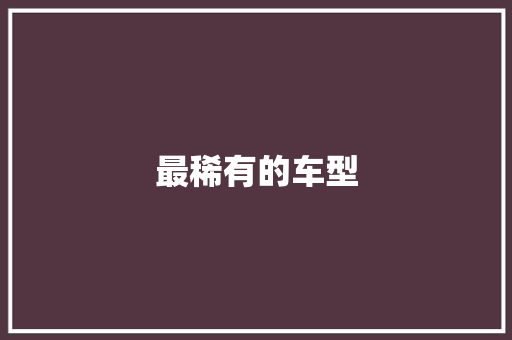 最稀有的车型