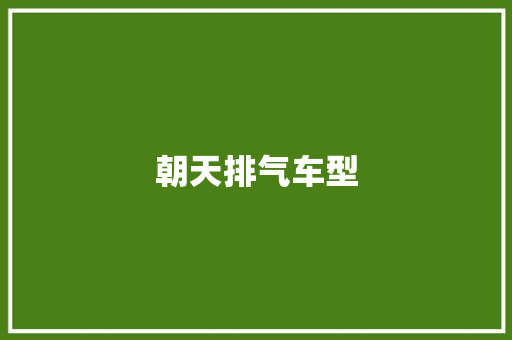 朝天排气车型