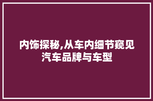内饰探秘,从车内细节窥见汽车品牌与车型