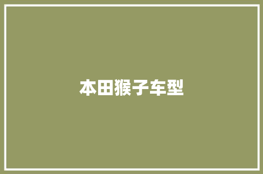 本田猴子车型