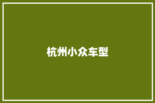 杭州小众车型