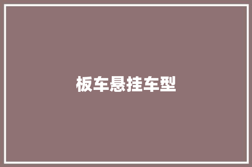 板车悬挂车型