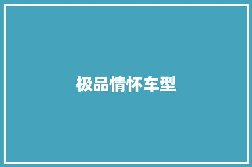 极品情怀车型
