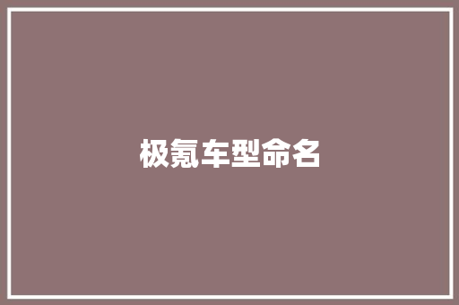 极氪车型命名