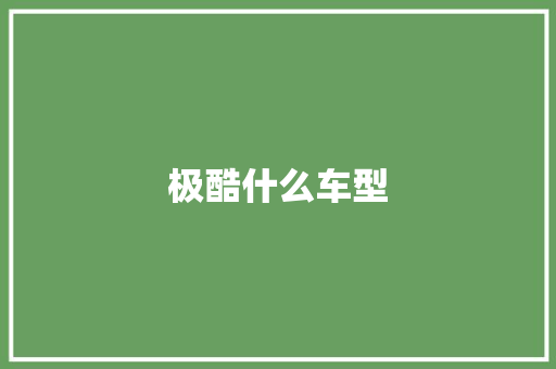 极酷什么车型