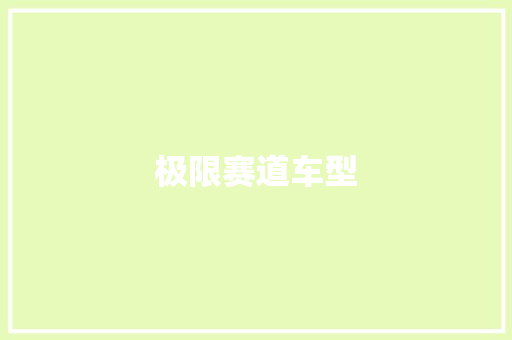 极限赛道车型