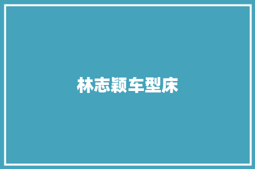 林志颖车型床