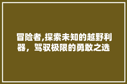 冒险者,探索未知的越野利器，驾驭极限的勇敢之选
