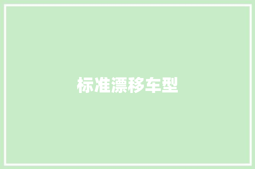 标准漂移车型