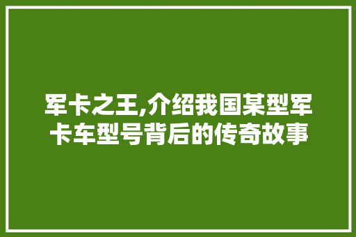 军卡之王,介绍我国某型军卡车型号背后的传奇故事